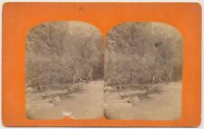 ARIZONA SV - Grand Canyon River Scene - FW Phillips 1890s Oversized RARE picture