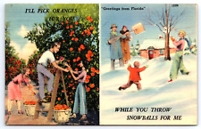 Greeting from Florida Oranges / Snowballs 1945  Linen Postcard picture