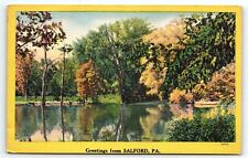 1945 SALFORD PA GREETINGS FROM SALFORD PA POND SCENIC VIEW LINEN POSTCARD P3954 picture