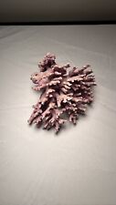 Real Purple Coral Natural Decoration picture