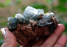 Marshy APOPHYLLITE On CHALCEDONY Matrix Minerals J-1.24 picture