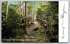 The Indian Trail Pathway Through The Woods Boothbay Harbor ME C1900 Postcard L8 picture