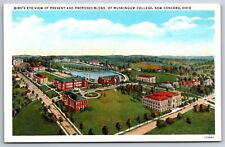 New Concord Ohio~Muskingum College Architectural Birdseye View~1920s Postcard picture