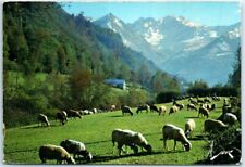 Postcard - Pasture in the valley, The Pyrenees picture