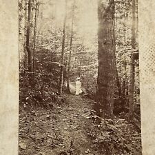 Antique Cabinet Card Photograph Beautiful Young Woman Walking In Forest ID Acker picture