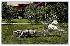 Los Angeles California CA Postcard Drive At California Alligator Farm Scene 1911 picture