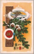 c1910s HAPPY NEW YEAR Embossed Greetings Postcard Winter Scene 