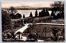 Postcard C245, Insel Mainou i Bod, Palm Garden along Lake Constance, Switzerland picture