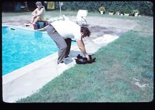 1971 Pool Party Man Rubbing Puppy Black Schnauzer Belly 35mm Kodachrome Slide picture