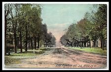 Le Roy NY Main St  Street Scene Postcard Dirt Road        pc142 picture