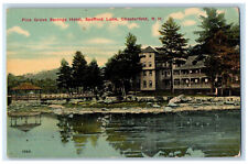 c1910 Pine Grove Springs Hotel, Spofford Lake Chesterfield NH Postcard picture