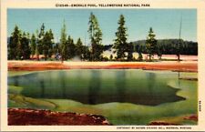 Yellowstone National Park MT, Emerald Pool, Montana Vintage Postcard Unposted picture
