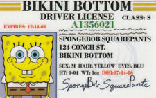 Bikini Bottom Under the Sea Pineapple Animated CArtoon Show card Drivers License picture