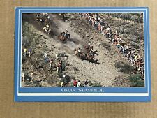 Postcard Omak WA Washington Stampede Horse Race Western Cowboys Vintage PC picture