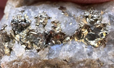 Gold Rush Relic: Beautiful Gold Ore Specimens in Quartz Matrix picture