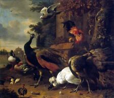 Art Oil painting Melchior-D_-Hondecoeter-Birds-in-a-Park birds landscape picture