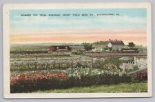Shenandoah IA~Number 10 Trial Gardens Henry Field Seed CO~Vintage Postcard picture