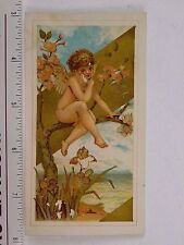 1870s-1880's Pictorial Printing Co Fabulous Cherub Angel Blossoms Dove F58 picture