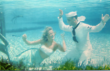 Silver Springs Florida Mermaid Navy Sailor Vintage Postcard picture