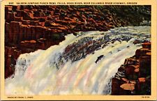 Postcard Oregon - Salmon Jumping Punch Bowl Falls, Hood River - 1937 picture