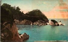 c1910s Los Lobos State Park Del Monte California Vintage Handcolored Postcard picture