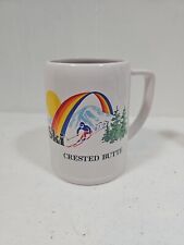 Vtg Papel Coffee Cup Mug Ski Crested Butte White Rainbow Mountains  picture