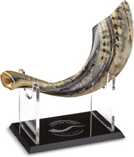 KOSHER ODORLESS NATURAL SHOFAR | Genuine Rams Horn | Made in Israel | Clean and picture