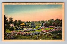 Atlanta GA-Georgia, Perennial And Tropical Gardens, Antique, Vintage Postcard picture