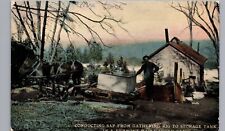 VERMONT MAPLE SUGAR CAMP c1910 original antique postcard horse sleigh vt picture