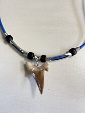 Shark Tooth Necklace New With Tag picture