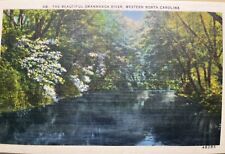 Swannanoa River Wilson NC North Carolina Postcard picture