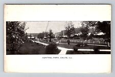 Galva, IL-Illinois, Central Park Antique c1914, Vintage Souvenir Postcard picture