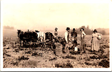 Antique Real Photo RPPC Postcard Family Farm Horses Men Woman picture