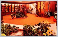 Vintage Postcard OH Ohio Marion Hemmerly's Flowers & Gifts Interior View -3305 picture