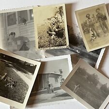 Vintage B&W Sepia Snapshot Dog Photograph Lot Collection of 7 Adorable Dogs picture