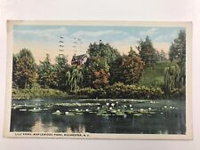 vintage 1921 Lily pond Maplewood park Rochester N Y post card picture