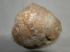 Large 13lb Agate Nodule Unopened KY Geode Semi-Solid Uncut Lapidary 9.5in Gift picture