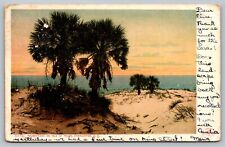 Postcard Palmettoes on Isle of Palms Sand Dunes Charleston South Carolina SC UDB picture
