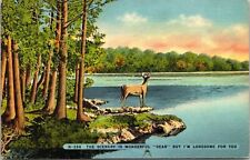 Wonderful Dear Scene Animals Forest Reflections Linen Cancel 1955 PM Postcard picture