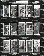 1934 Major Drapkin Life at Whipsnade Zoo Full Set 54/54 (301318) picture