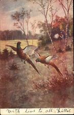 Pheasant hunting rural country UDB c1905 DORA RUSSELL Waverly KY postcard picture