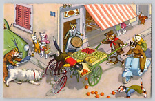 Mainzer Cats & Dogs Collide on Busy Market Street Red Awning Postcard picture
