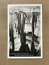 Postcard RPPC Kentucky The Lion's Cage Mammoth Cave National Park KY Vintage PC picture