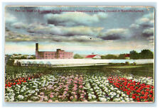 c1910s Buckbee's Seed Warehouses Rockford Illinois IL Advertising Postcard picture