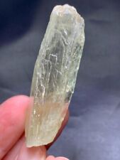 248 Cts Etched Kunzite Crystal  from Afghanistan picture