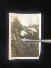 Antique 1910s-20s Man Painting in Garden Patterson NJ Photo picture