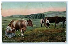 Milking Time Cows Rare View 1908 Tuck's Water Park Vintage Antique Postcard picture