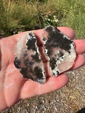 Black Texas Plume Agate Slabs, 33 grams, Set of 2, Lapidary/Cabbing picture