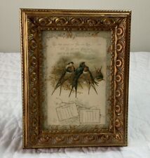 Vintage Antique Victorian Ephemera Framed, Gold Tone Frame, Victorian Birds picture