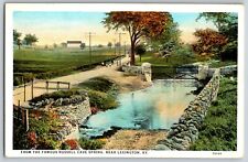 Lexington, Kentucky - Famous Russell Cave Springs - Vintage Postcard - Unposted picture